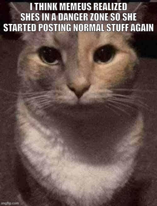 cat dead stare | I THINK MEMEUS REALIZED SHES IN A DANGER ZONE SO SHE STARTED POSTING NORMAL STUFF AGAIN | image tagged in cat dead stare | made w/ Imgflip meme maker