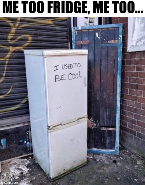 Me Too Fridge Me Too | ME TOO FRIDGE, ME TOO... | image tagged in chrisjoines1 | made w/ Imgflip meme maker