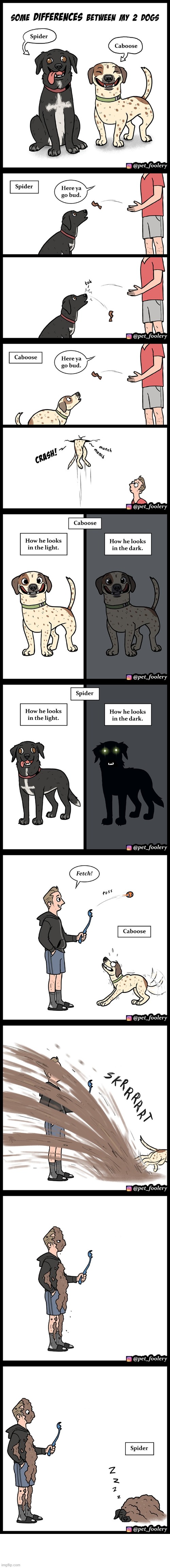 image tagged in dogs,differences,treat,light,darkness,fetch | made w/ Imgflip meme maker