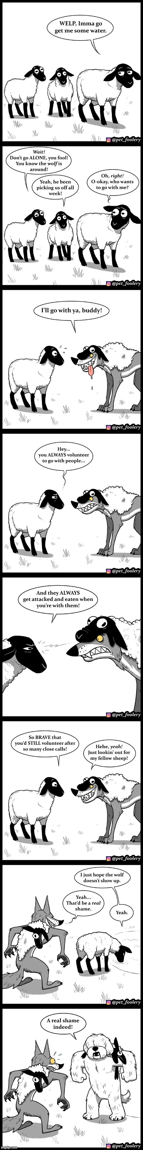 image tagged in sheep,water,wolf,disguise,dog,plot twist | made w/ Imgflip meme maker
