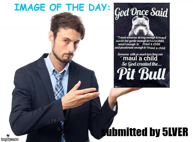 submit an image in the comments to have a chance at appearin in the next image of the day | submitted by 5LVER | image tagged in _spectate_ image of the day | made w/ Imgflip meme maker