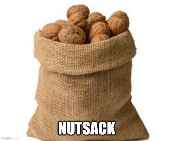 Nutsack. | NUTSACK | image tagged in nutsack | made w/ Imgflip meme maker