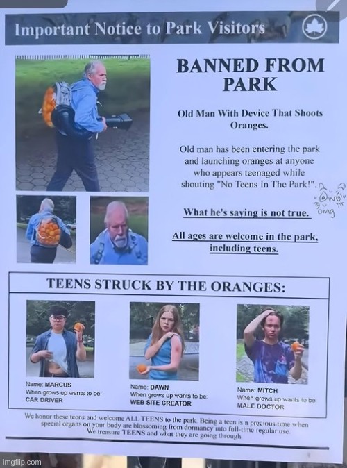 NO TEENS IN THE PARK | image tagged in oranges | made w/ Imgflip meme maker