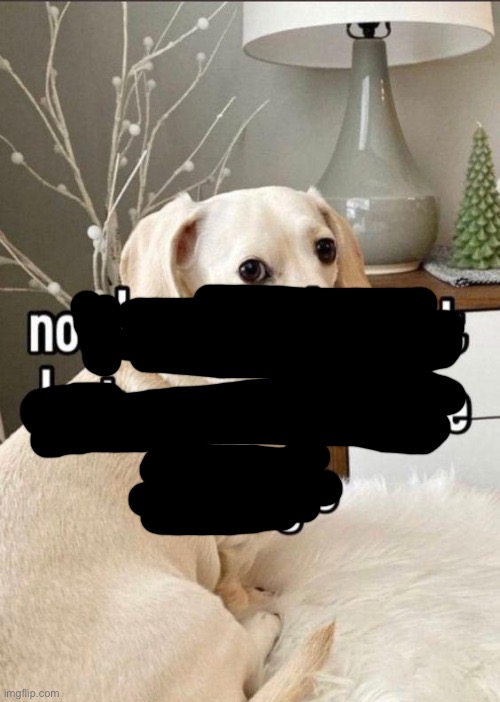 Homophobic dog | image tagged in homophobic dog | made w/ Imgflip meme maker