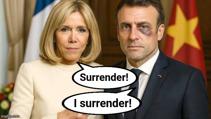 Surrender! I surrender! | made w/ Imgflip meme maker
