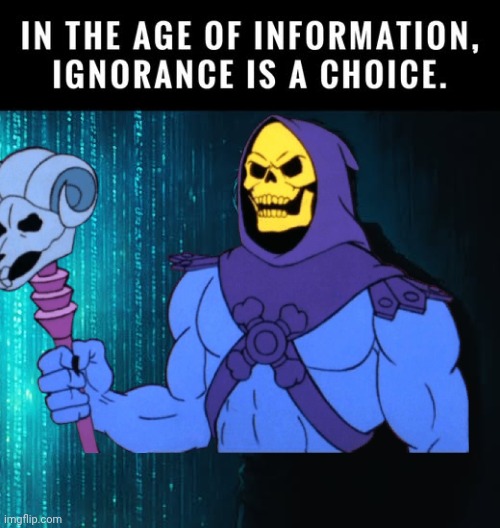 Ignorance is a choice | image tagged in skeletor,ignorance | made w/ Imgflip meme maker