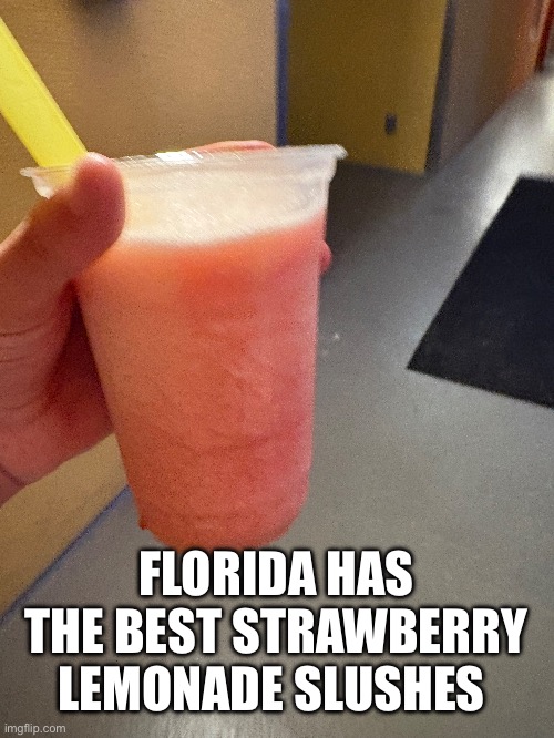You can’t convince me otherwise | FLORIDA HAS THE BEST STRAWBERRY LEMONADE SLUSHES | image tagged in lemonade | made w/ Imgflip meme maker