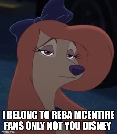 Reba McEntire Fans Only Not For Disney | I BELONG TO REBA MCENTIRE FANS ONLY NOT YOU DISNEY | image tagged in dixie,the fox and the hound 2,reba mcentire,country music | made w/ Imgflip meme maker