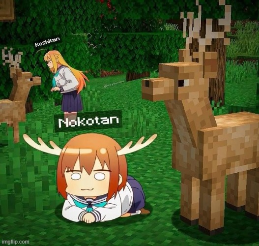 my peak friend nokotan | image tagged in memes,nokotan | made w/ Imgflip meme maker
