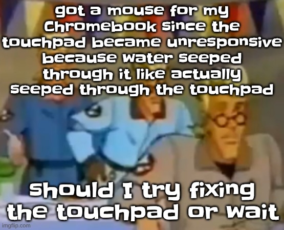 worst case scenario I could keep the mouse and just let the touchpad be useless | got a mouse for my Chromebook since the touchpad became unresponsive because water seeped through it like actually seeped through the touchpad; should I try fixing the touchpad or wait | image tagged in mitosis | made w/ Imgflip meme maker
