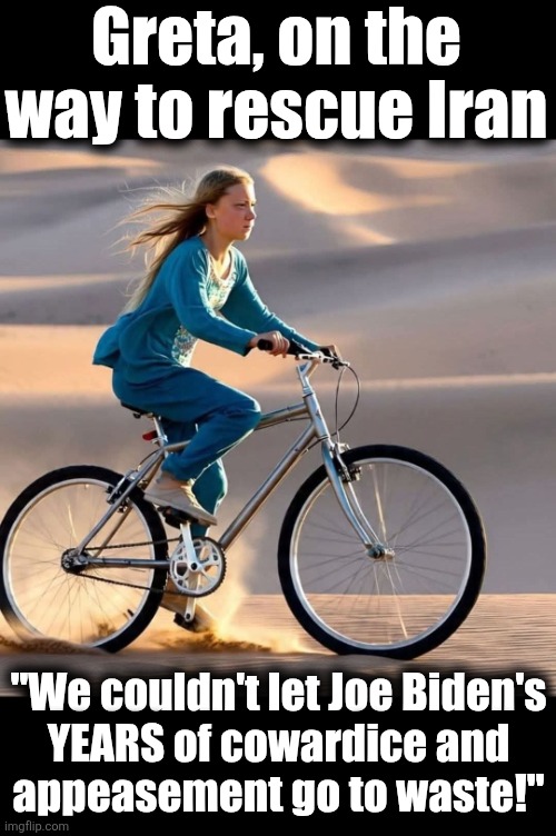 A suggestion for Greta Thunberg's next "rescue" | Greta, on the way to rescue Iran; "We couldn't let Joe Biden's
YEARS of cowardice and
appeasement go to waste!" | image tagged in memes,joe biden,iran,appeasement,israel,greta thunberg | made w/ Imgflip meme maker