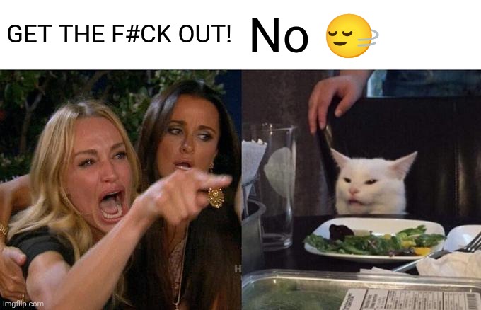 Idk what to name it | GET THE F#CK OUT! No 🙂‍↔️ | image tagged in memes,woman yelling at cat | made w/ Imgflip meme maker