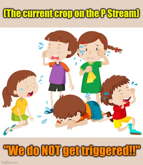 (The current crop on the P Stream) "We do NOT get triggered!!" | made w/ Imgflip meme maker