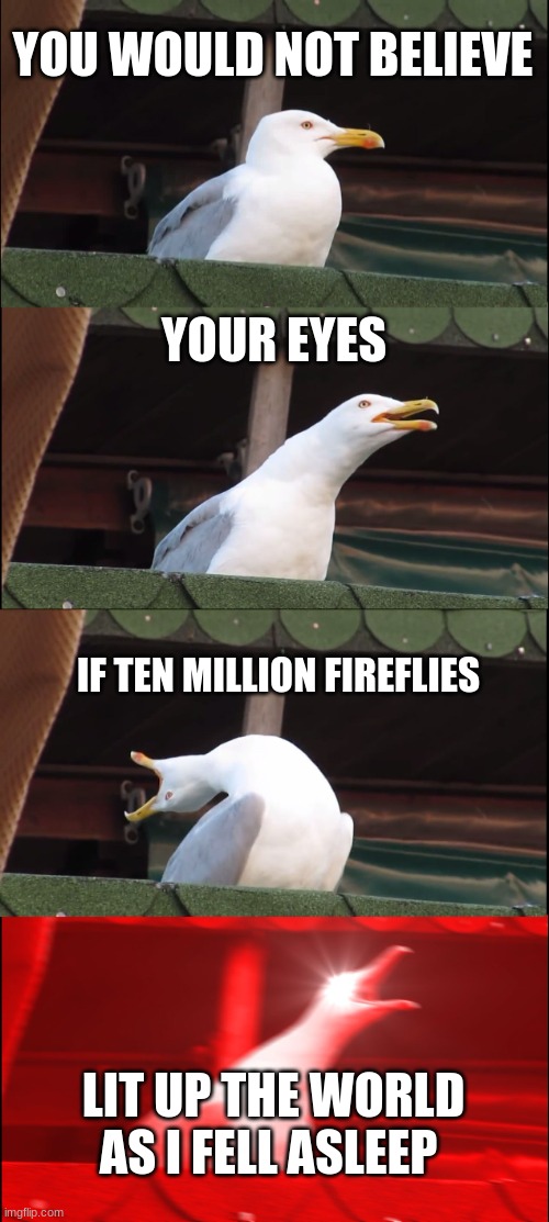 Inhaling Seagull | YOU WOULD NOT BELIEVE; YOUR EYES; IF TEN MILLION FIREFLIES; LIT UP THE WORLD AS I FELL ASLEEP | image tagged in memes,inhaling seagull,music | made w/ Imgflip meme maker