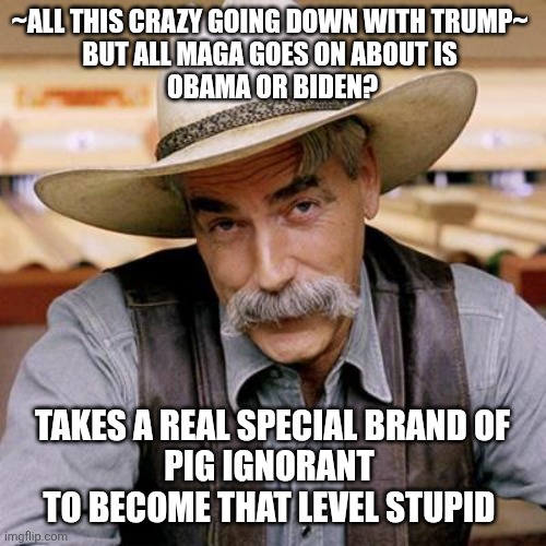 Pig ignorant | ~ALL THIS CRAZY GOING DOWN WITH TRUMP~ 
BUT ALL MAGA GOES ON ABOUT IS 
OBAMA OR BIDEN? TAKES A REAL SPECIAL BRAND OF
PIG IGNORANT 
TO BECOME THAT LEVEL STUPID | image tagged in sarcasm cowboy,maga,trump,president,not,biden obama | made w/ Imgflip meme maker