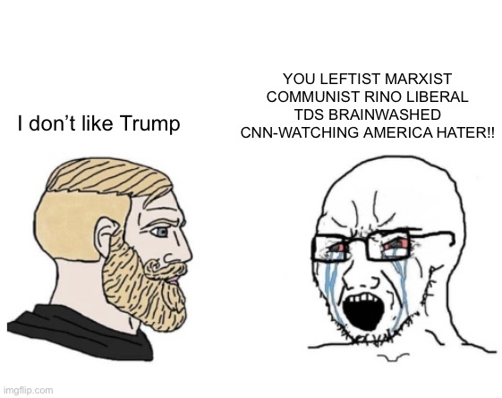 Dare I say…Snowflakes? | YOU LEFTIST MARXIST COMMUNIST RINO LIBERAL TDS BRAINWASHED CNN-WATCHING AMERICA HATER!! I don’t like Trump | image tagged in chad vs wojak backwards | made w/ Imgflip meme maker