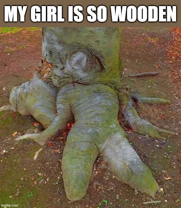 MY GIRL IS SO WOODEN | image tagged in girlfriend,wooden | made w/ Imgflip meme maker