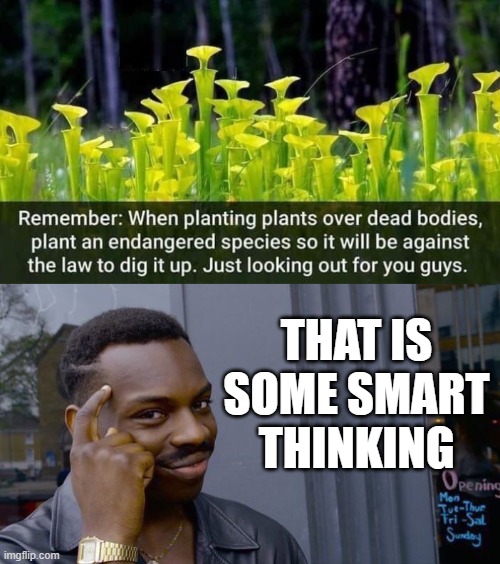 THAT IS SOME SMART THINKING | image tagged in memes,roll safe think about it | made w/ Imgflip meme maker