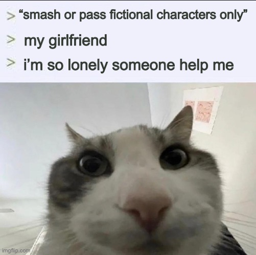 Cat looks inside | “smash or pass fictional characters only”; my girlfriend; i’m so lonely someone help me | image tagged in cat looks inside | made w/ Imgflip meme maker