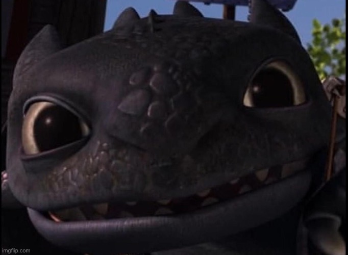 Cute toothless | image tagged in httyd,toothless | made w/ Imgflip meme maker