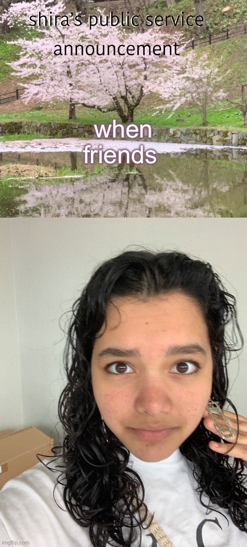 guillotine earrings | when friends | image tagged in shira s psa | made w/ Imgflip meme maker