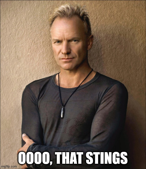 Sting | OOOO, THAT STINGS | image tagged in sting | made w/ Imgflip meme maker