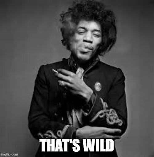 Jimi Hendrix | THAT'S WILD | image tagged in jimi hendrix | made w/ Imgflip meme maker