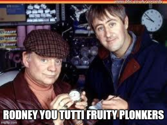 delboy an rod | RODNEY YOU TUTTI FRUITY PLONKERS | image tagged in delboy an rod | made w/ Imgflip meme maker