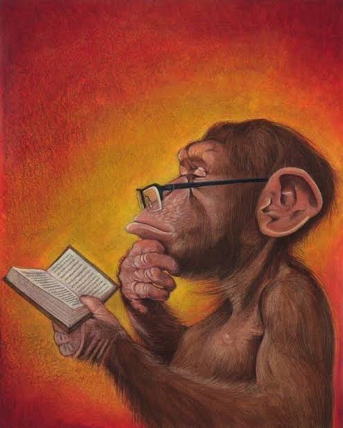 Monkey reading Blank Meme Template