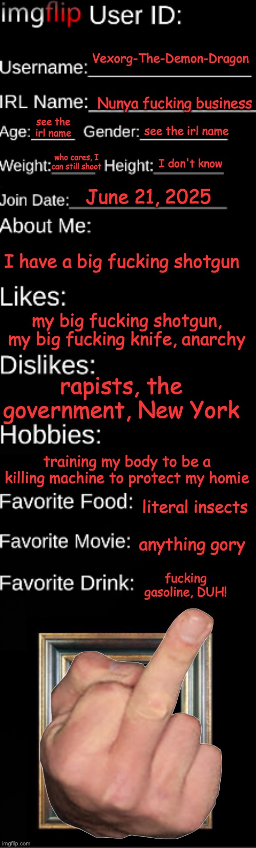 Your mom is more used than my targets (high bar to clear) | Vexorg-The-Demon-Dragon; Nunya fucking business; see the irl name; see the irl name; who cares, I can still shoot; I don't know; June 21, 2025; I have a big fucking shotgun; my big fucking shotgun, my big fucking knife, anarchy; rapists, the government, New York; training my body to be a killing machine to protect my homie; literal insects; anything gory; fucking gasoline, DUH! | image tagged in imgflip user id | made w/ Imgflip meme maker