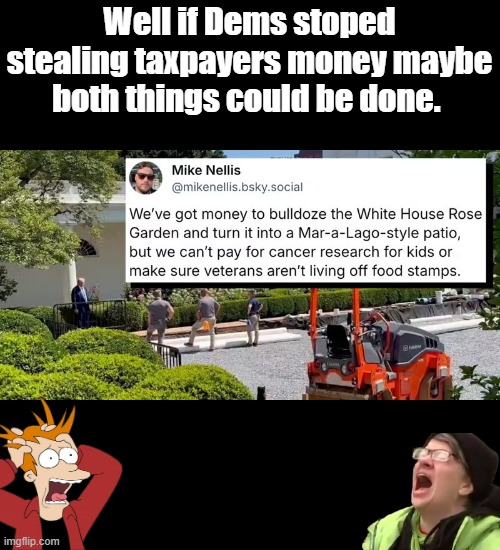 Dems snivel alot. | Well if Dems stoped stealing taxpayers money maybe both things could be done. | made w/ Imgflip meme maker