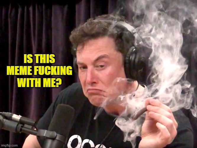 Elon Musk Weed | IS THIS MEME FUCKING WITH ME? | image tagged in elon musk weed | made w/ Imgflip meme maker