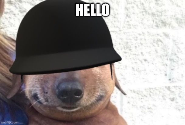maggot | HELLO | image tagged in maggot | made w/ Imgflip meme maker