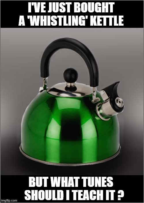 Any Suggestions ? | I'VE JUST BOUGHT A 'WHISTLING' KETTLE; BUT WHAT TUNES 
  SHOULD I TEACH IT ? | image tagged in suggestions,whistling,kettle,tunes | made w/ Imgflip meme maker