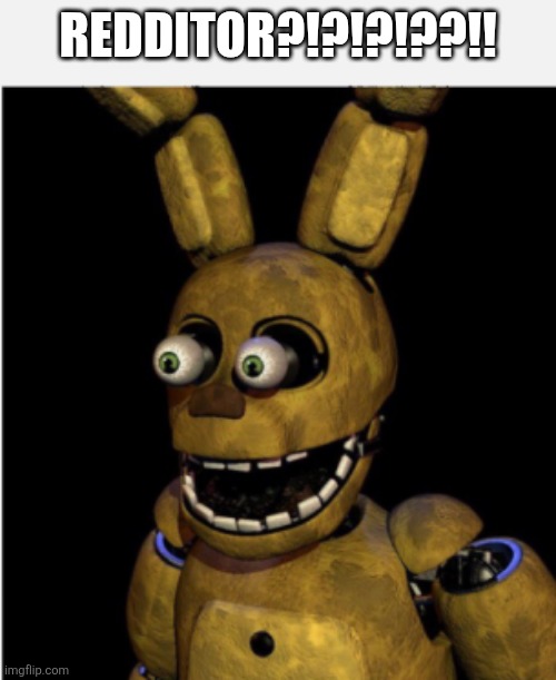 CHILDREN | REDDITOR?!?!?!??!! | image tagged in children | made w/ Imgflip meme maker
