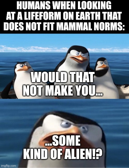 Tartigrafes, octopuses, you name it! | HUMANS WHEN LOOKING AT A LIFEFORM ON EARTH THAT DOES NOT FIT MAMMAL NORMS:; WOULD THAT NOT MAKE YOU... ...SOME KIND OF ALIEN!? | image tagged in memes,humans,why can't you just be normal | made w/ Imgflip meme maker