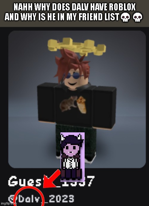 nahhh wut de haiiiillll | NAHH WHY DOES DALV HAVE ROBLOX AND WHY IS HE IN MY FRIEND LIST💀💀 | image tagged in insert skull emoji here bruh | made w/ Imgflip meme maker