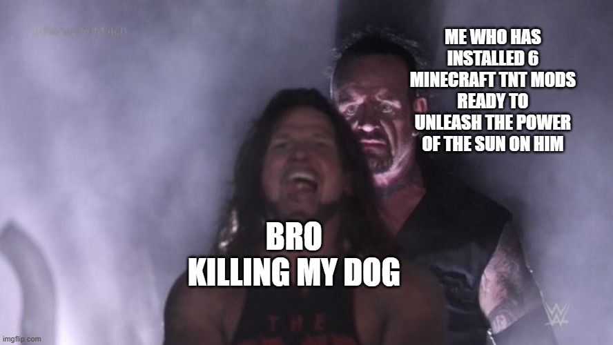 bombs away | ME WHO HAS INSTALLED 6 MINECRAFT TNT MODS READY TO UNLEASH THE POWER OF THE SUN ON HIM; BRO KILLING MY DOG | image tagged in aj styles undertaker | made w/ Imgflip meme maker