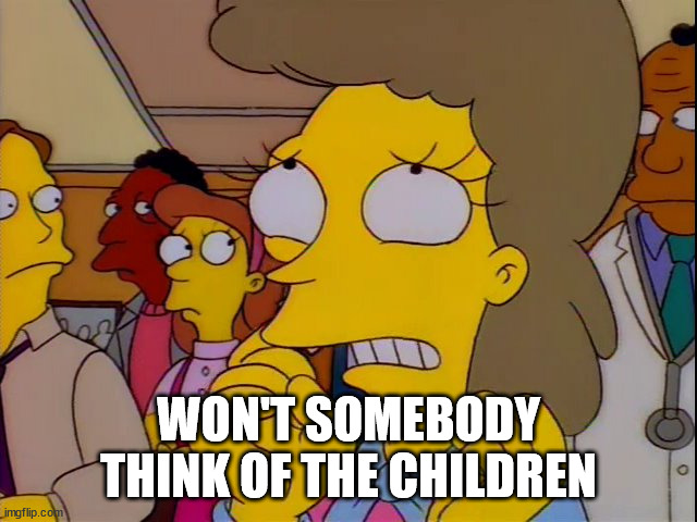 Won't somebody think of the children | WON'T SOMEBODY THINK OF THE CHILDREN | image tagged in won't somebody think of the children | made w/ Imgflip meme maker