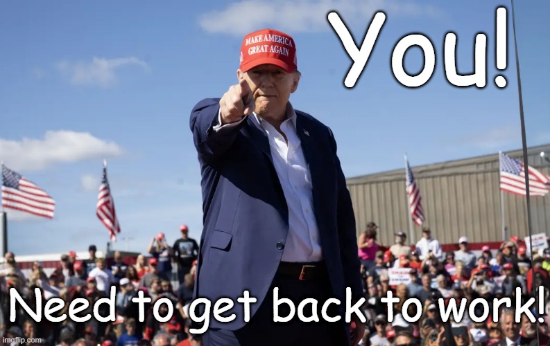 9y35b7.jpg