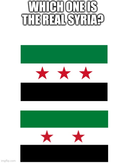 Which one? | WHICH ONE IS THE REAL SYRIA? | image tagged in countryballs,geography,memes,fun,syria | made w/ Imgflip meme maker