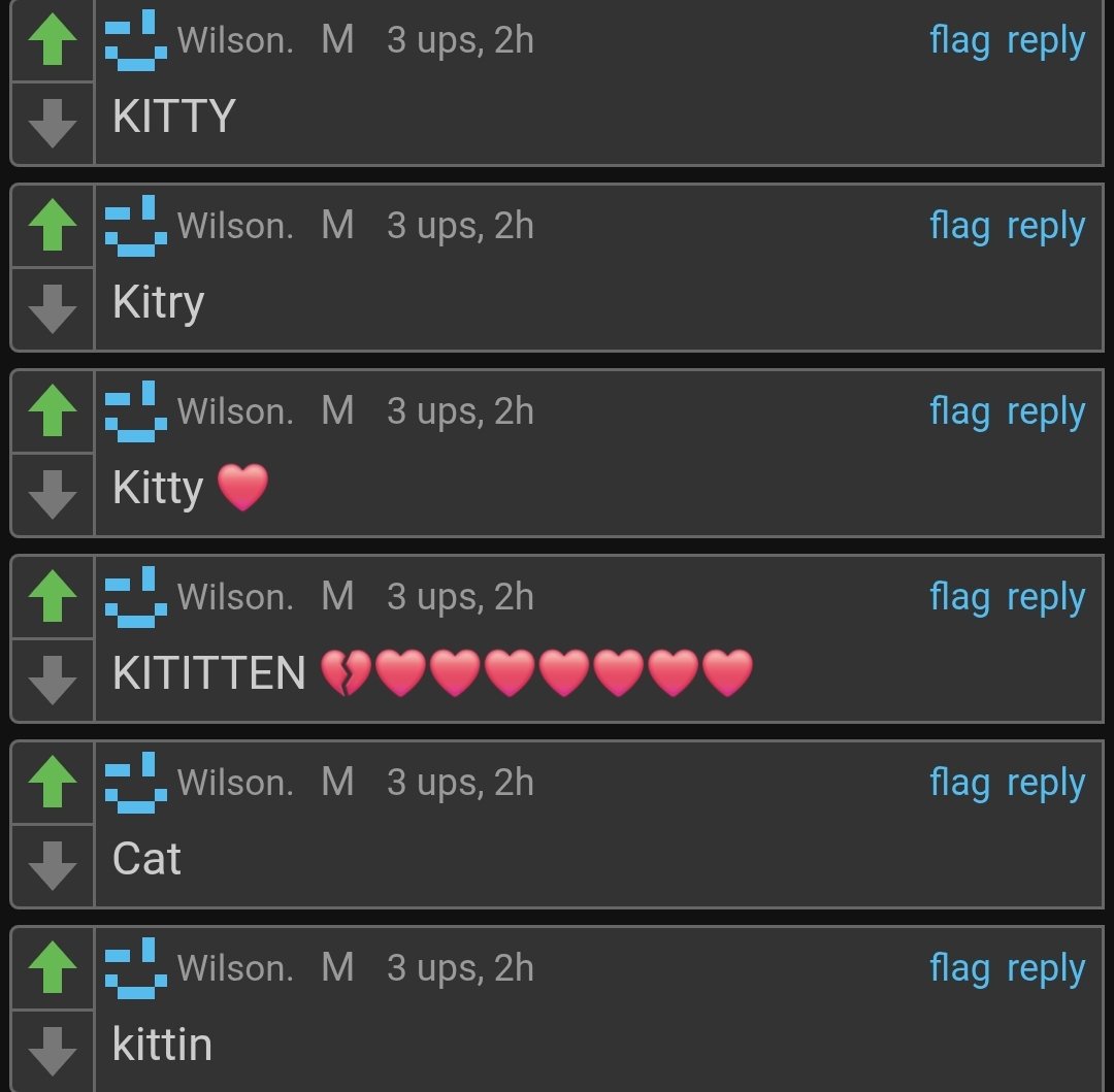 I think Dea likes cats Blank Meme Template