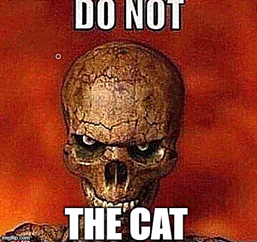 Do not the cat -starflower | THE CAT | image tagged in do not skeleton | made w/ Imgflip meme maker
