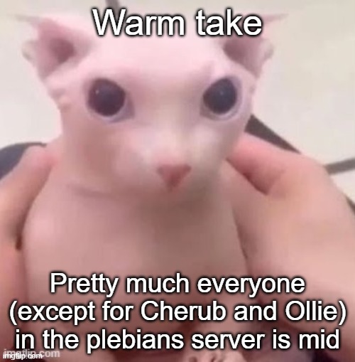 bingus | Warm take; Pretty much everyone (except for Cherub and Ollie) in the plebians server is mid | image tagged in bingus | made w/ Imgflip meme maker