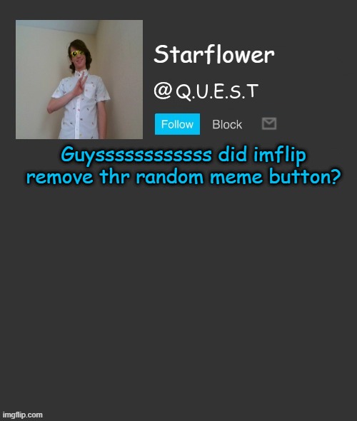 I wanted to use it :( why the do that :( | Guyssssssssssss did imflip remove thr random meme button? | image tagged in starflower quest template | made w/ Imgflip meme maker