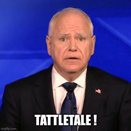 Tim Walz Debate 2024 | TATTLETALE ! | image tagged in tim walz debate 2024 | made w/ Imgflip meme maker