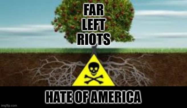 fruit of the poisonous tree | FAR LEFT RIOTS HATE OF AMERICA | image tagged in fruit of the poisonous tree | made w/ Imgflip meme maker