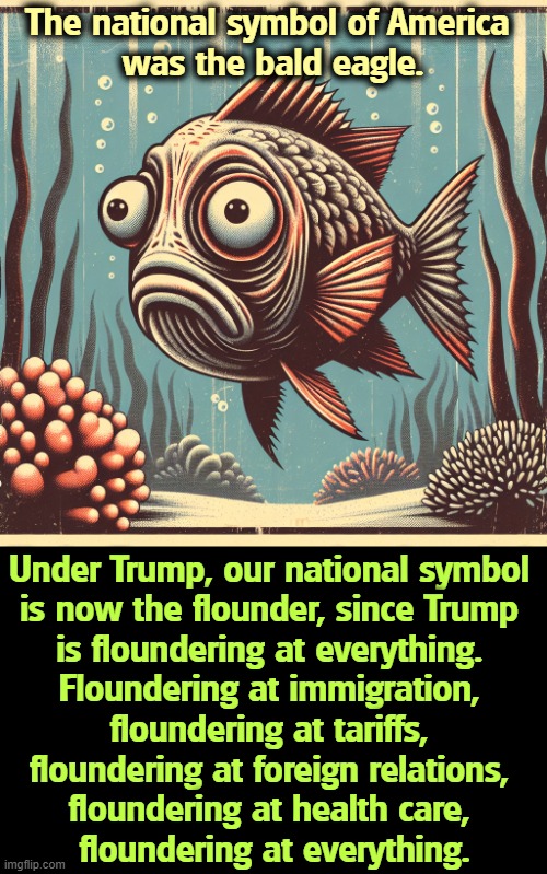 The national symbol of America 
was the bald eagle. Under Trump, our national symbol 
is now the flounder, since Trump 
is floundering at everything. 
Floundering at immigration, 
floundering at tariffs, 
floundering at foreign relations, 
floundering at health care, 
floundering at everything. | image tagged in trump,bald eagle,incompetence,immigration,tariffs,war | made w/ Imgflip meme maker