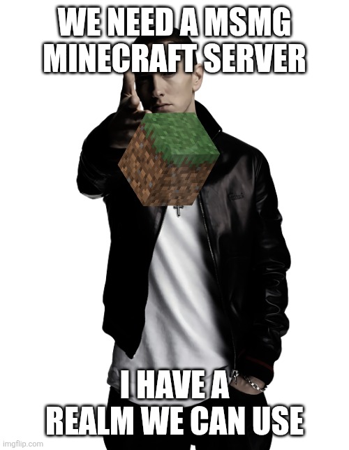 Eminem throw | WE NEED A MSMG MINECRAFT SERVER; I HAVE A REALM WE CAN USE | image tagged in eminem throw | made w/ Imgflip meme maker