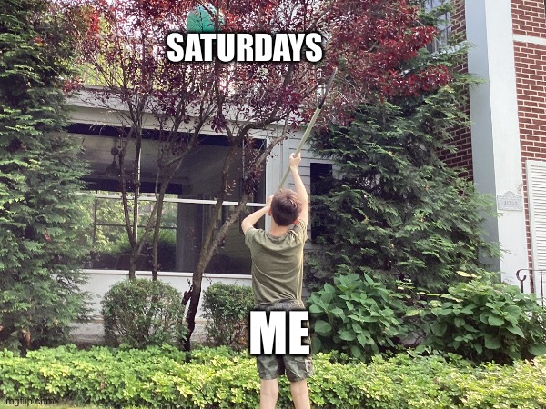 Me trying to get a ball | SATURDAYS; ME | image tagged in funny,boys,saturday | made w/ Imgflip meme maker